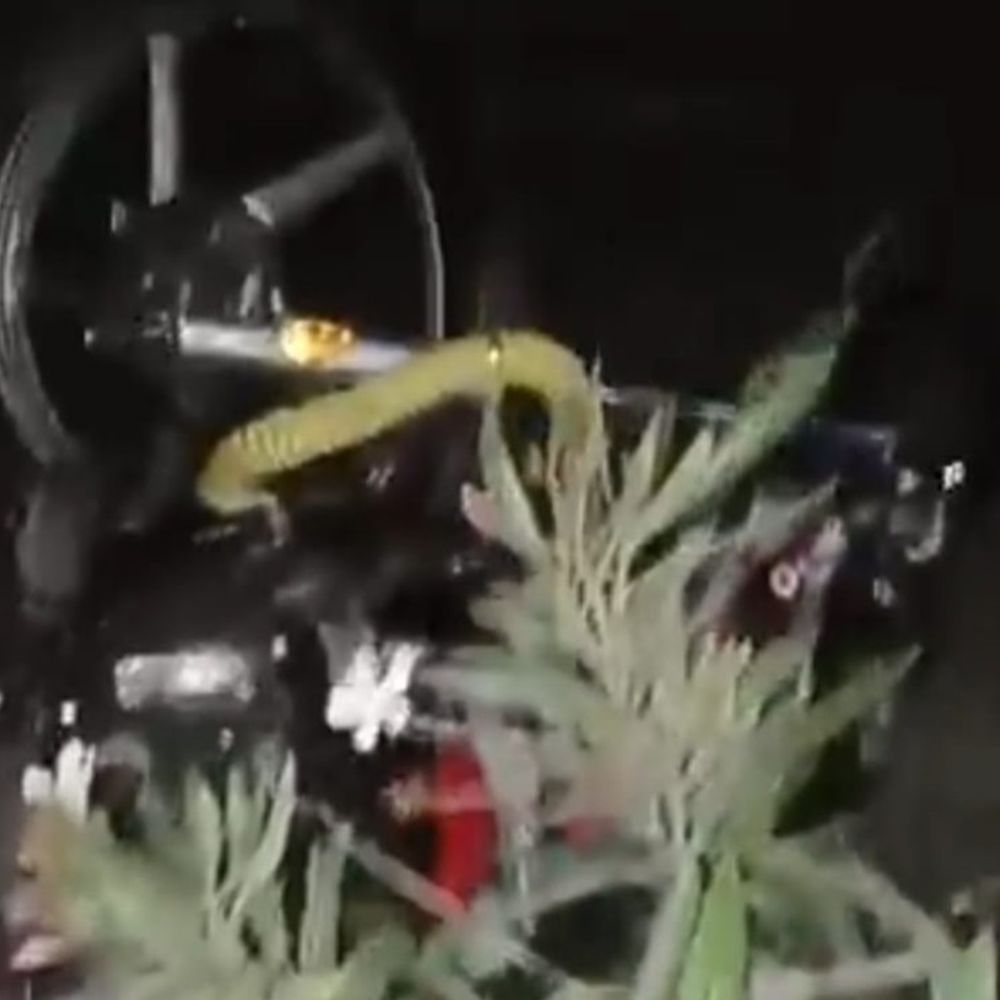 हिसार-चंडीगढ़ हाईवे पर हादसे में पिता, 3 बेटियों की मौत:  तेज रफ्तार पिकअप से टकराई बाइक, मां गंभीर घायल; रिश्तेदारी में जा रहे थे पांचों – Uklanamandi News