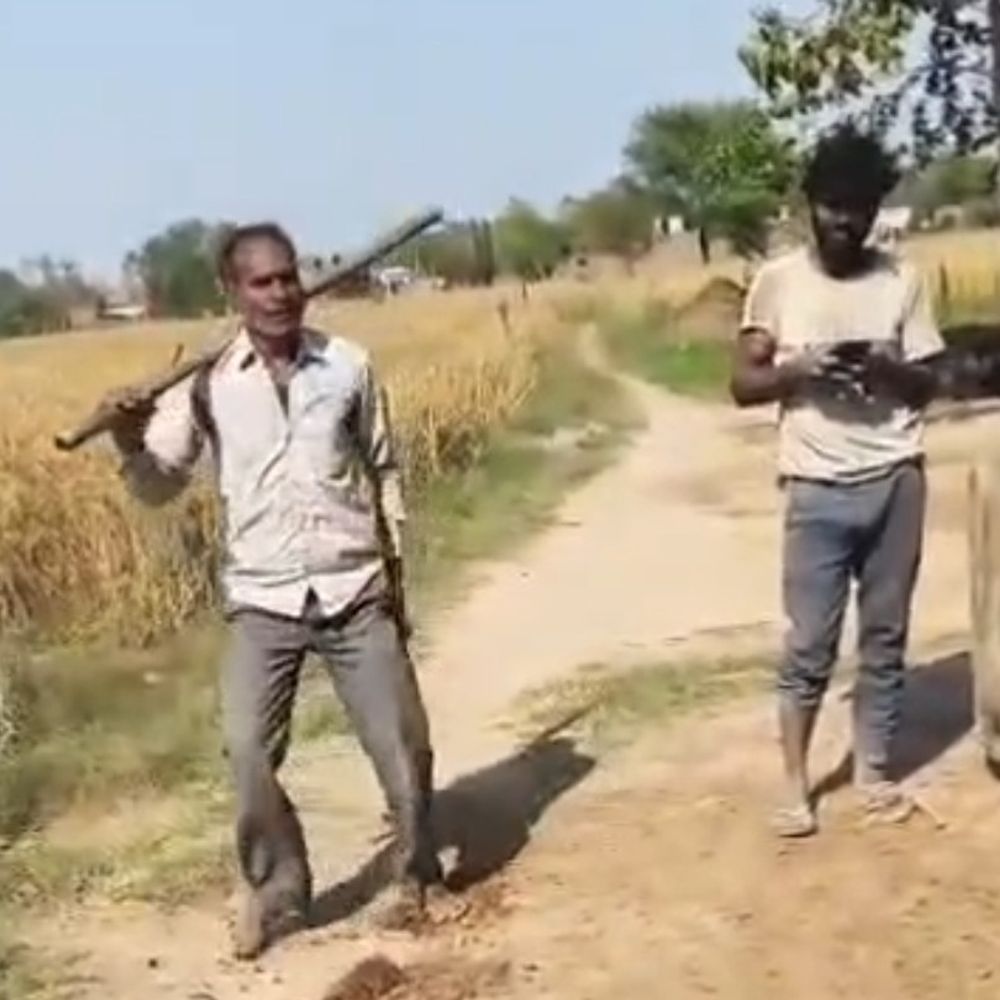 फिरोजाबाद में दीवार विवाद पर महिला को पीटा:लाठी-डंडों से मारपीट का वीडियो आया सामने, पुलिस जांच में जुटी