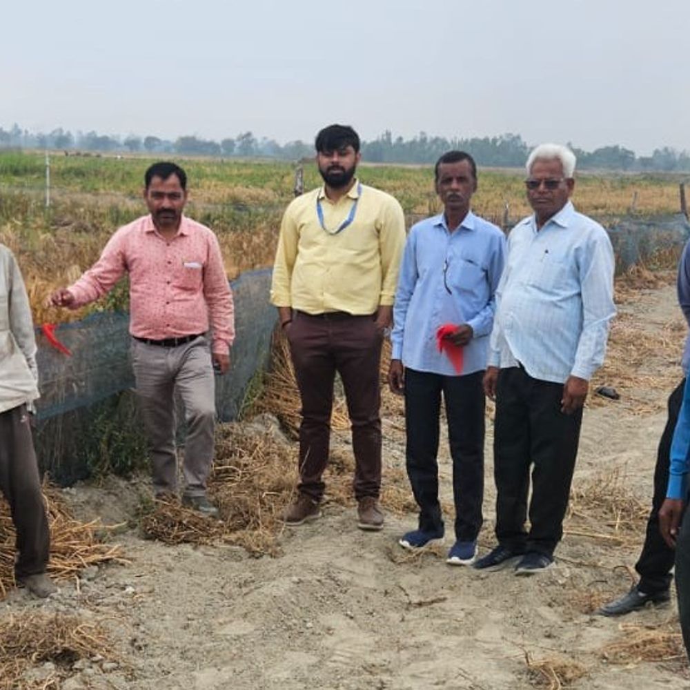 कन्नौज में किसान की जमीन कुर्क:खेत में खड़ी गेहूं की फसल के बावजूद बैंक ने की कार्रवाई