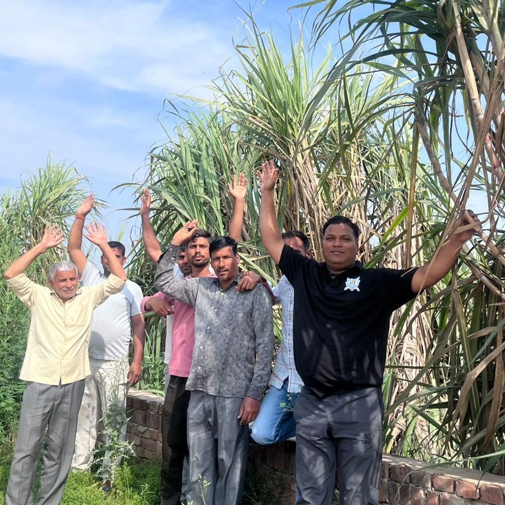 किसानों ने मिल पर लगाया गन्ना न खरीदने का आरोप:शिकायत के बाद भी नहीं हुआ समाधान, रावा गांव के किसानों में रोष