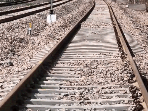 चलती ट्रेन से देवर ने भाभी को नीचे फेंका:  पटरियों के पास मिली लहूलुहान, श्रीगंगानगर से अंबाला जा रही थी – Sriganganagar News