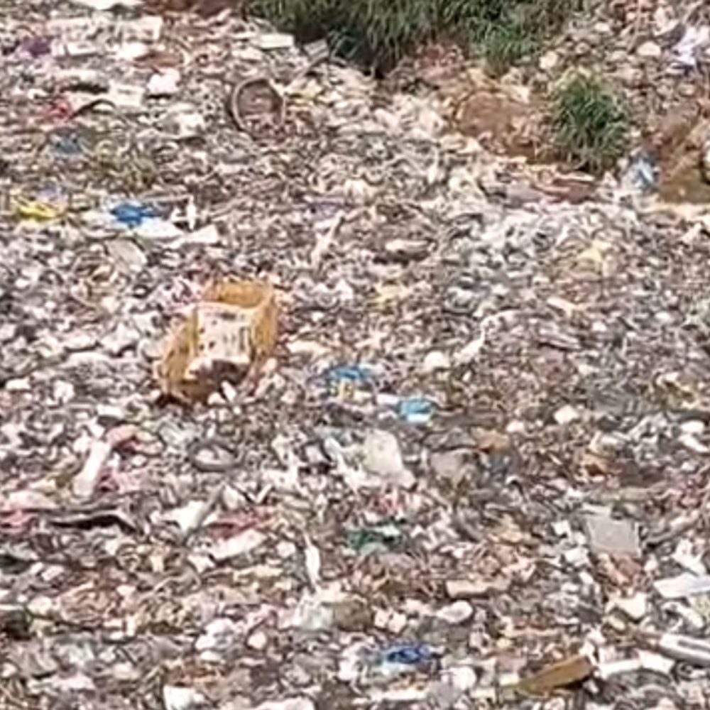 मेरठ में बच्चे का अज्ञात शव मिला:सरायकाजी पुल के नीचे कुत्तों ने नोचा, पुलिस जांच में जुटी