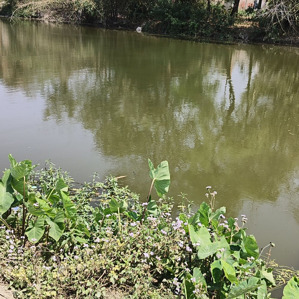 मऊ में 22 दिन बाद बच्चे की हत्या का केस:सीएम ऑफिस के हस्तक्षेप के बाद पॉक्सो एक्ट में कार्रवाई, मां के साथ तिलक में आया था