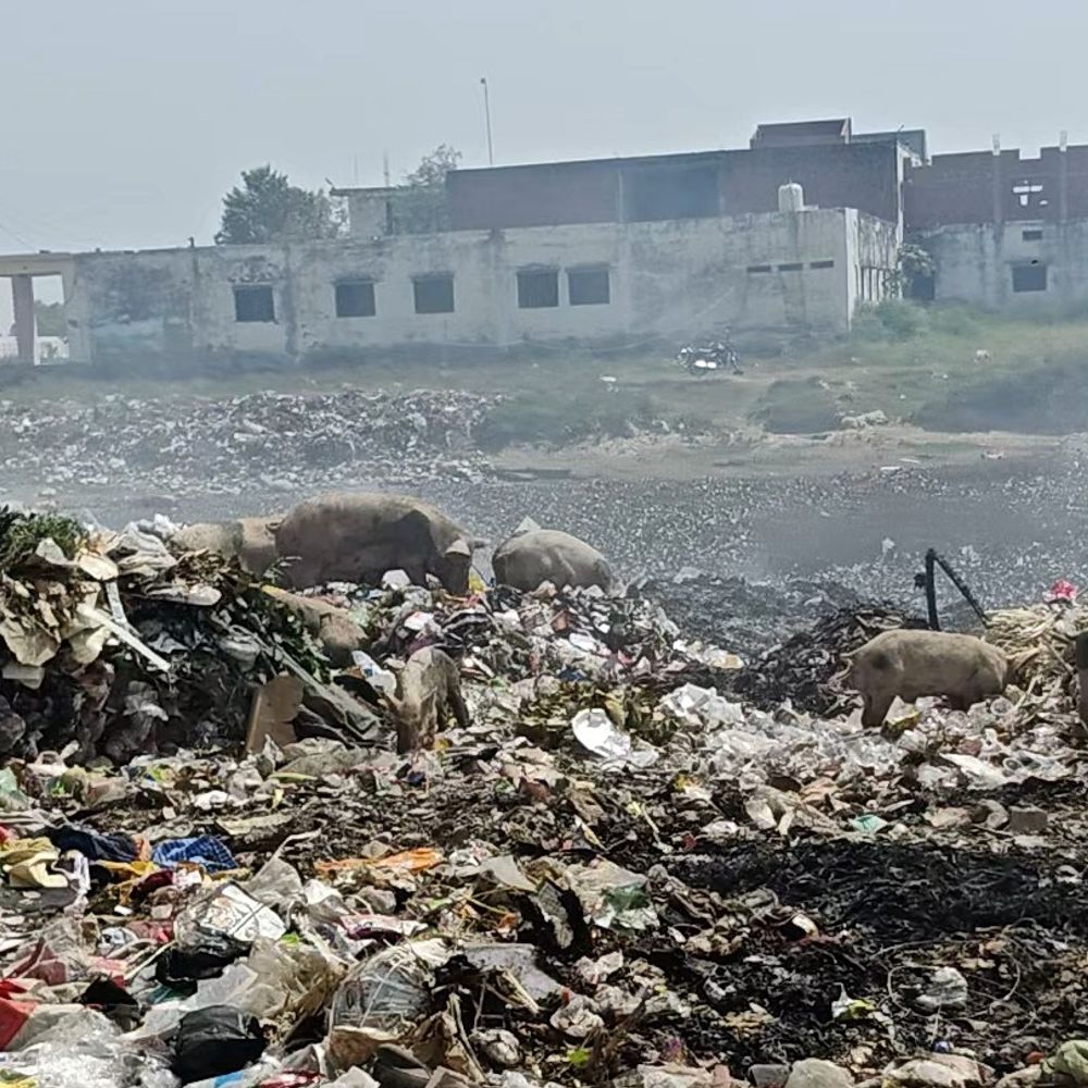 तालाब में कूड़ा फिंकवा रही कन्नौज नगर पालिका:नष्ट करने के लिए जलाया जा रहा कचरा, जहरीली गैस से छात्रों को खतरा