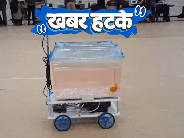 खबर हटके- मछली ने गाड़ी चलाकर बनाया वर्ल्ड रिकॉर्ड:₹15 लाख दहेज के लिए फर्जी IAS बना शख्स; चूहों को बर्फ में जमाकर फिर जिंदा किया