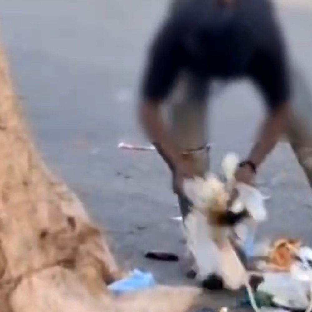 फर्रुखाबाद में बायोमेडिकल वेस्ट सड़कों पर फैला:कबाड़ गाड़ी से जाते समय गिरा, किशोरियों से बिना ग्लब्स उठवाया