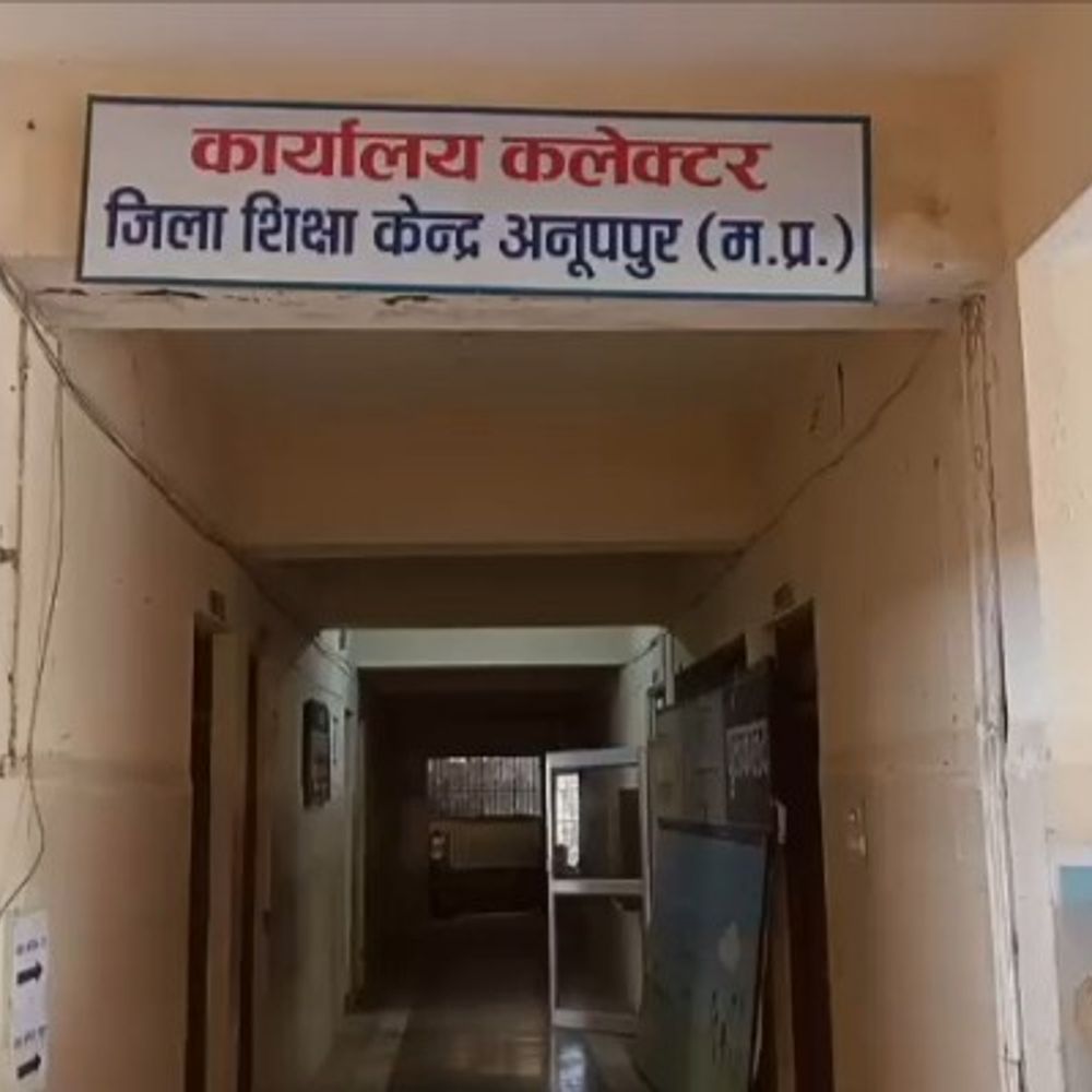 अनूपपुर 5वीं बोर्ड में प्रदेश में चौथे स्थान पर:99.14% परिणाम, 8वीं में 6 से 11वें पायदान पर फिसला