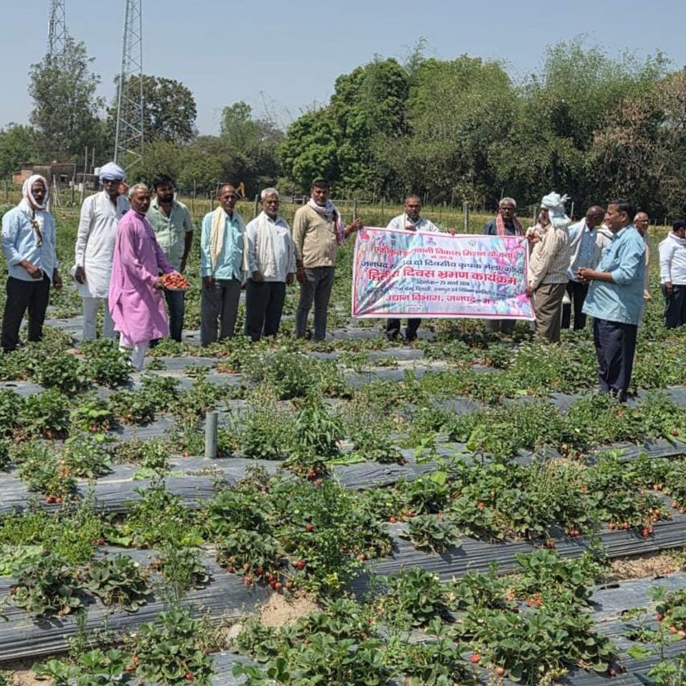 मऊ में किसानों को आधुनिक खेती का प्रशिक्षण:उद्यान विभाग ने दो दिवसीय गोष्ठी में दी प्रायोगिक जानकारी