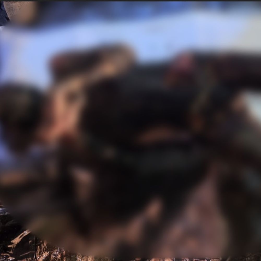 जालौन में अज्ञात युवक का जला शव मिला:ग्रामीणों ने सड़क किनारे खेत में देखा, हत्या की आशंका; पुलिस जांच में जुटी