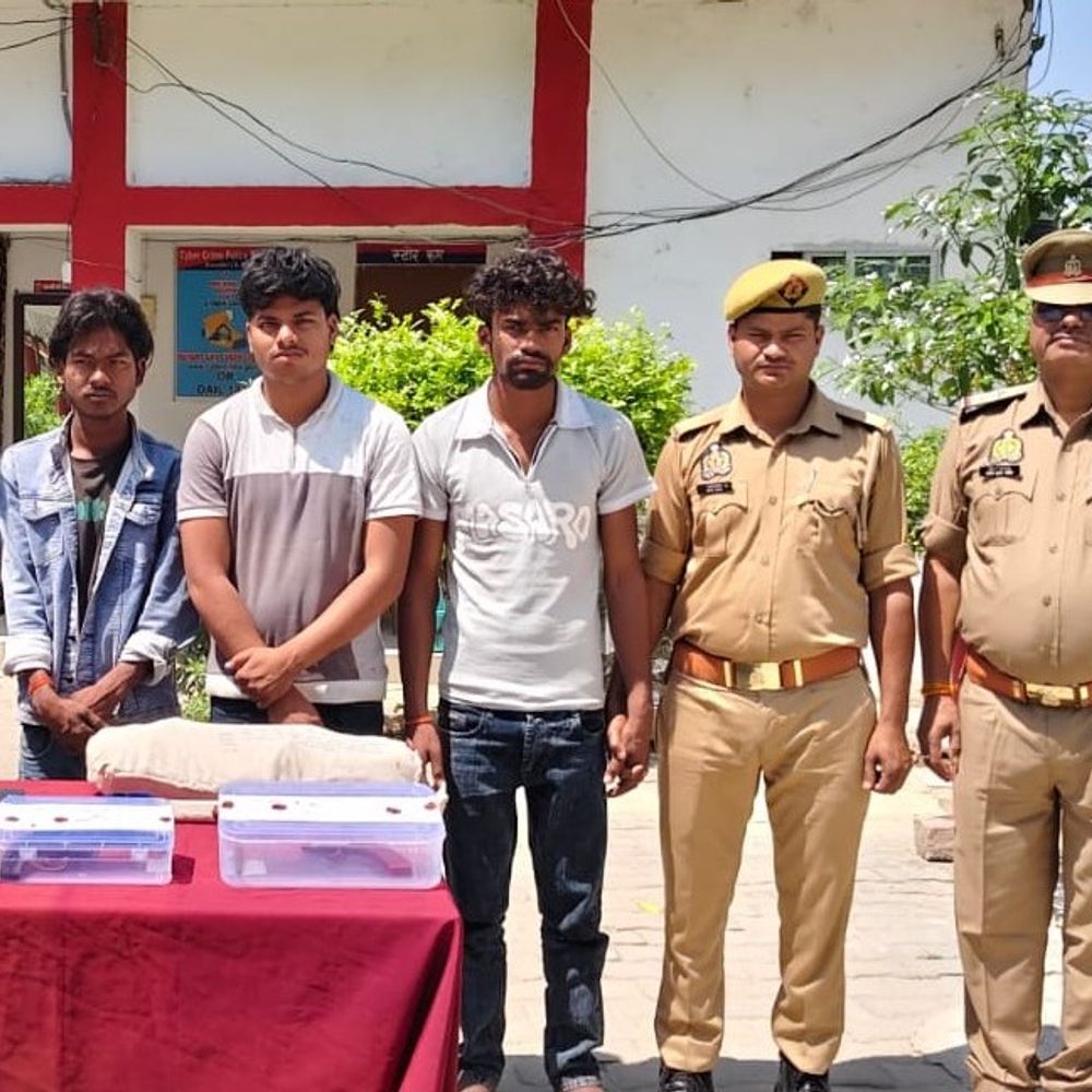 अमेठी पुलिस ने ऑपरेशन चक्रव्यूह में चार चोर पकड़े:कार सवार शातिर चोरों से तमंचा, कारतूस और चोरी के उपकरण बरामद किए