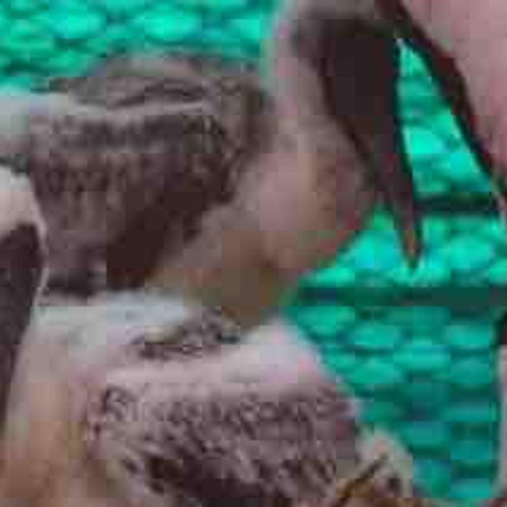 गोरखपुर चिड़ियाघर में पेंटेड स्टॉर्क को हुए बच्चे:देखभाल में जुटी टीम, सफल प्रजनन से बढ़ी संरक्षण की उम्मीद