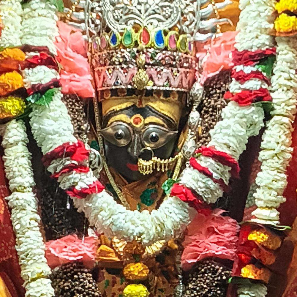 विंध्य में महा त्रिकोण यात्रा फिर शुरू, 12 घंटे में:18 पड़ावों पर संतों-भक्तों ने लगाए जयकारे, पौराणिक महत्व की यात्रा