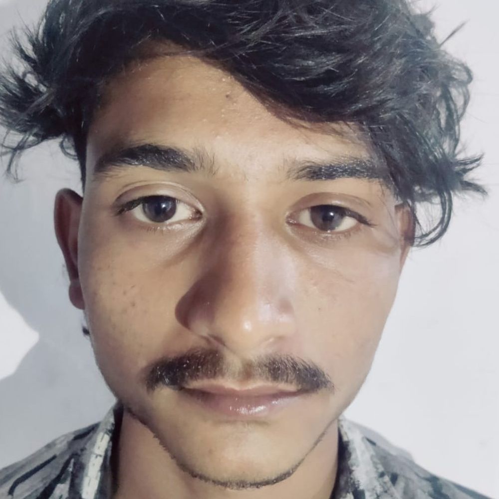 पलवल में किशोर सहित स्नैचिंग गैंग के दो आरोपी पकड़े:  मोबाइल और बाइक बरामद, फोन छीनकर हुए थे फरार, एक को भेजा जेल – Palwal News