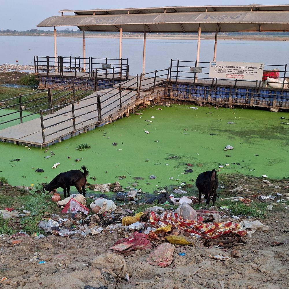 गाजीपुर में पीएम मोदी के उद्घाटन वाली जेटी बदहाल:रखरखाव के अभाव में अनुपयोगी, गंदगी से घिरी पड़ी