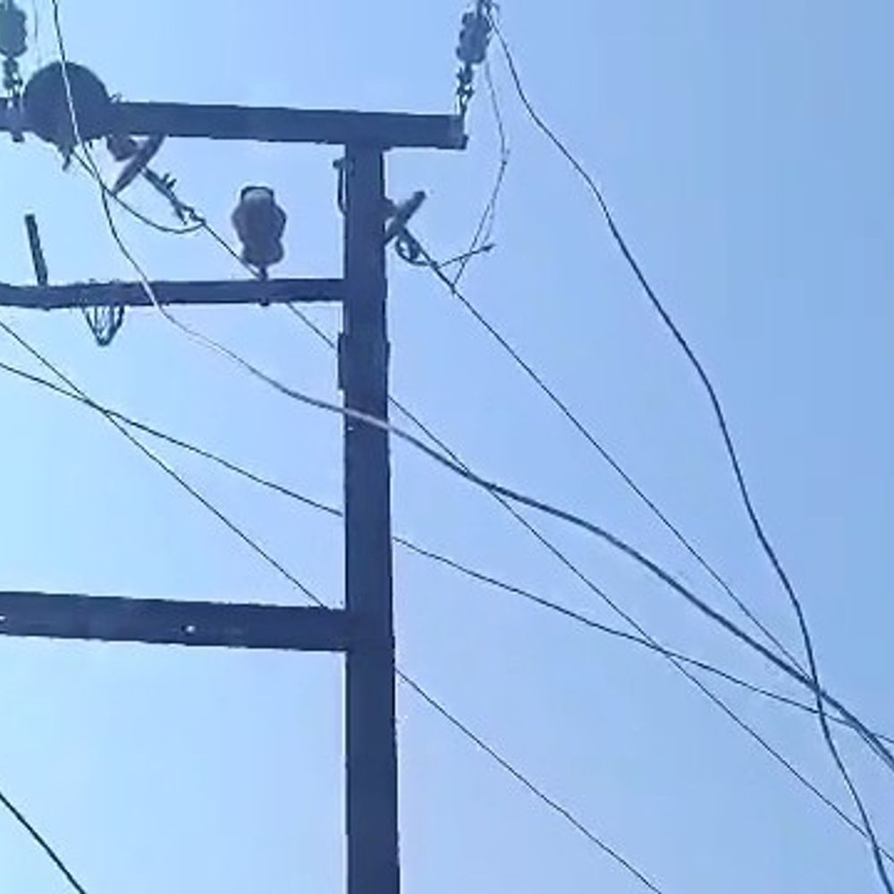 उन्नाव में 250 केवीए ट्रांसफार्मर चोरी:500 से अधिक घरों की बिजली गुल, ग्रामीण परेशान