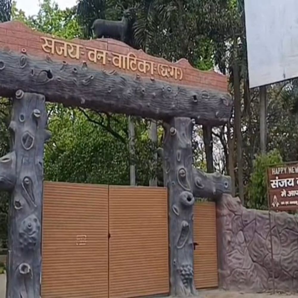 संजय पार्क के वन्यजीव जंगल में छोड़े जाएंगे:  जू अथारिटी से नहीं थी मान्यता, 15 हिरणों की मौत के बाद निर्णय – Ambikapur (Surguja) News