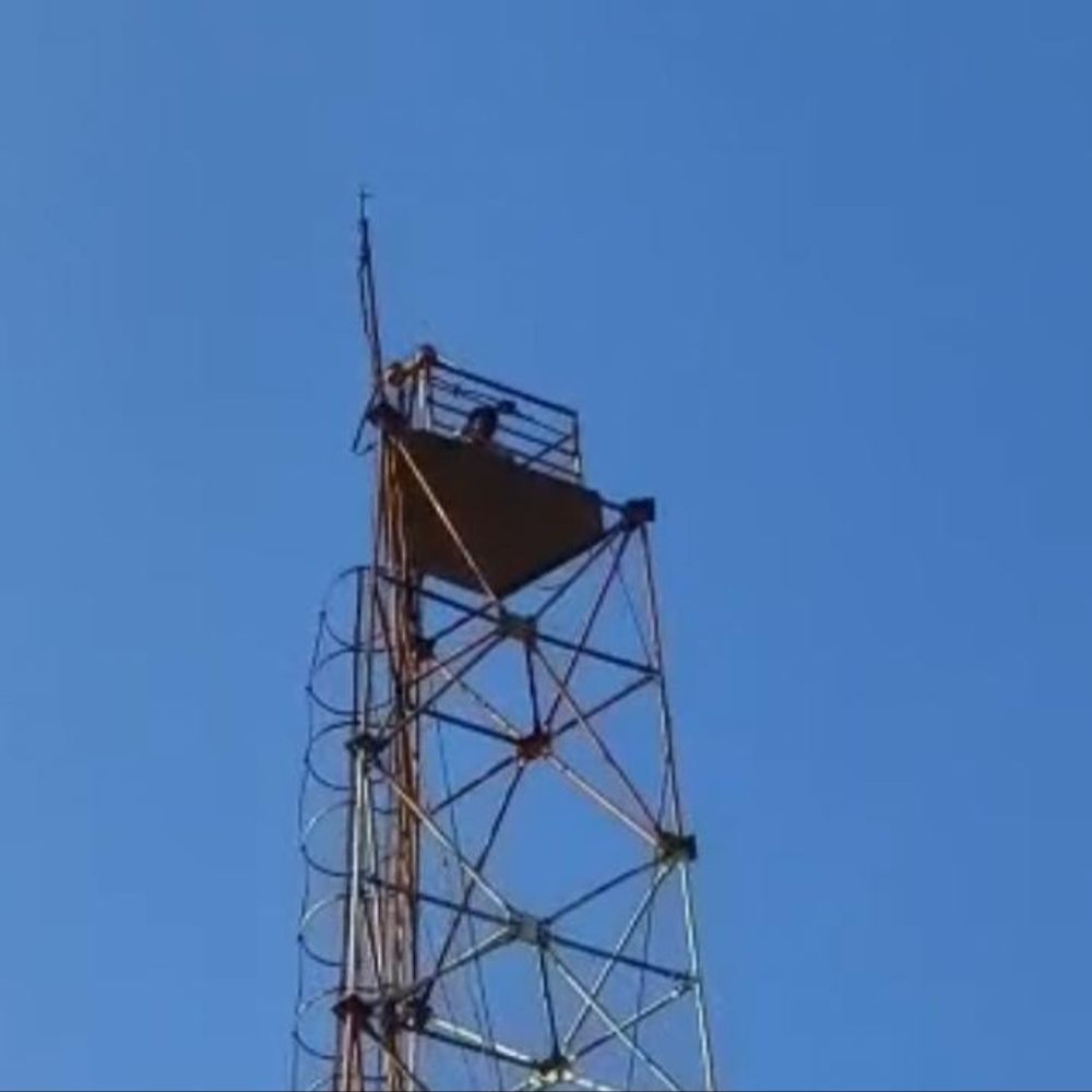 खंडवा सिटी कोतवाली में टावर पर चढ़ा शख्स:  विधवा फुफेरी बहन से शादी पर अड़ा; बुआ बोली- क्लेम के पैसे हड़पना चाहता – Khandwa News