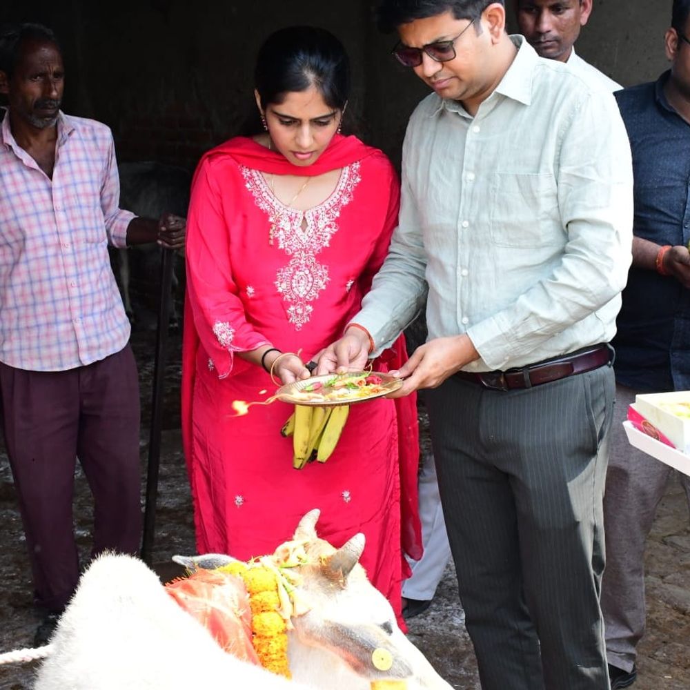 डीएम ने कपिलवस्तु गौशाला का किया निरीक्षण:गोवंशों को केला गुड़ खिलाया, व्यवस्थाओं में सुधार के लिए दिए कड़े निर्देश