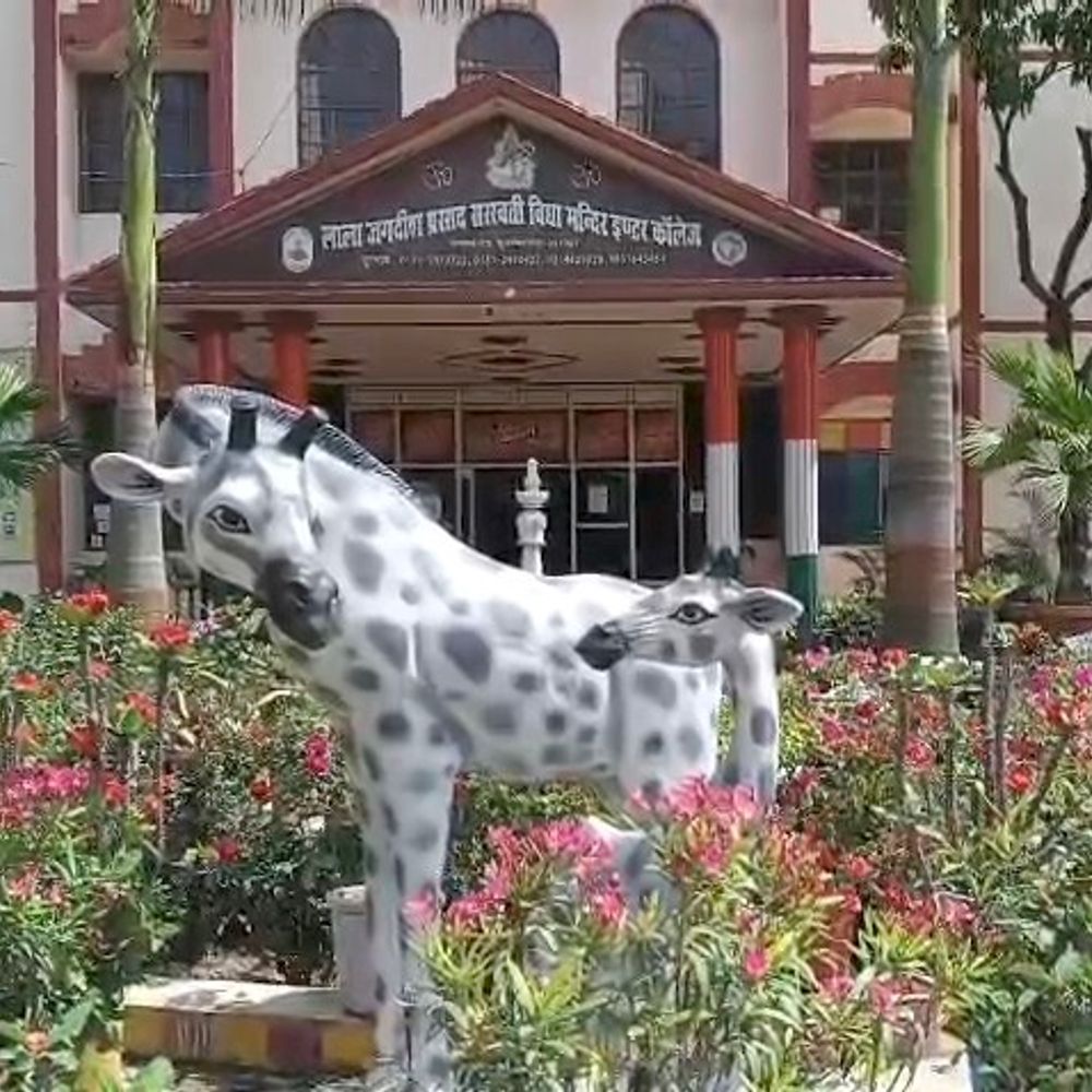 लाला जगदीश प्रसाद विद्या मंदिर अब सीबीएसई से संबद्ध:हिंदी माध्यम से सीबीएसई पैटर्न में बदलाव, मिलेंगी आधुनिक सुविधाएं