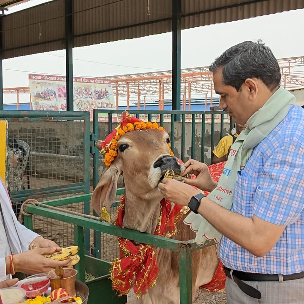 रामनवमी पर मथुरा डीएम ने किया गौ-पूजन:देवरहा बाबा गो-आश्रय स्थल का निरीक्षण, 8600 गौवंशों की व्यवस्थाएं परखी