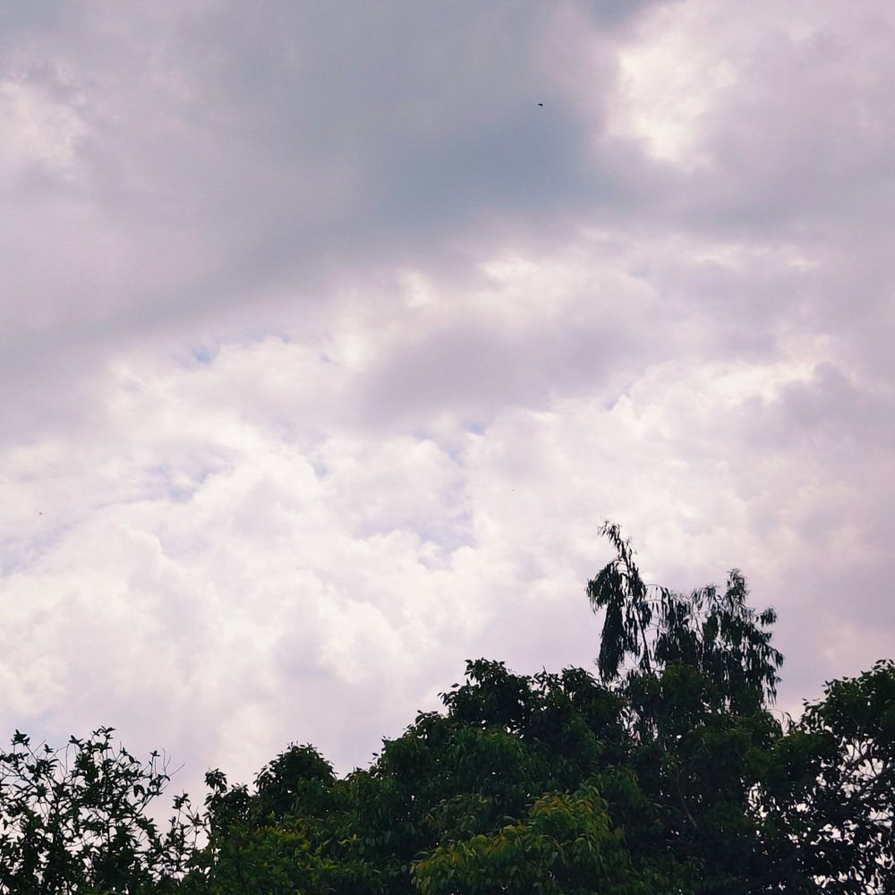 मुजफ्फरनगर में मौसम ने ली करवट:किसानों, भट्ठा संचालकों की चिंता बढ़ी, हल्की बारिश जारी, हो सकता है बड़ा नुकसान