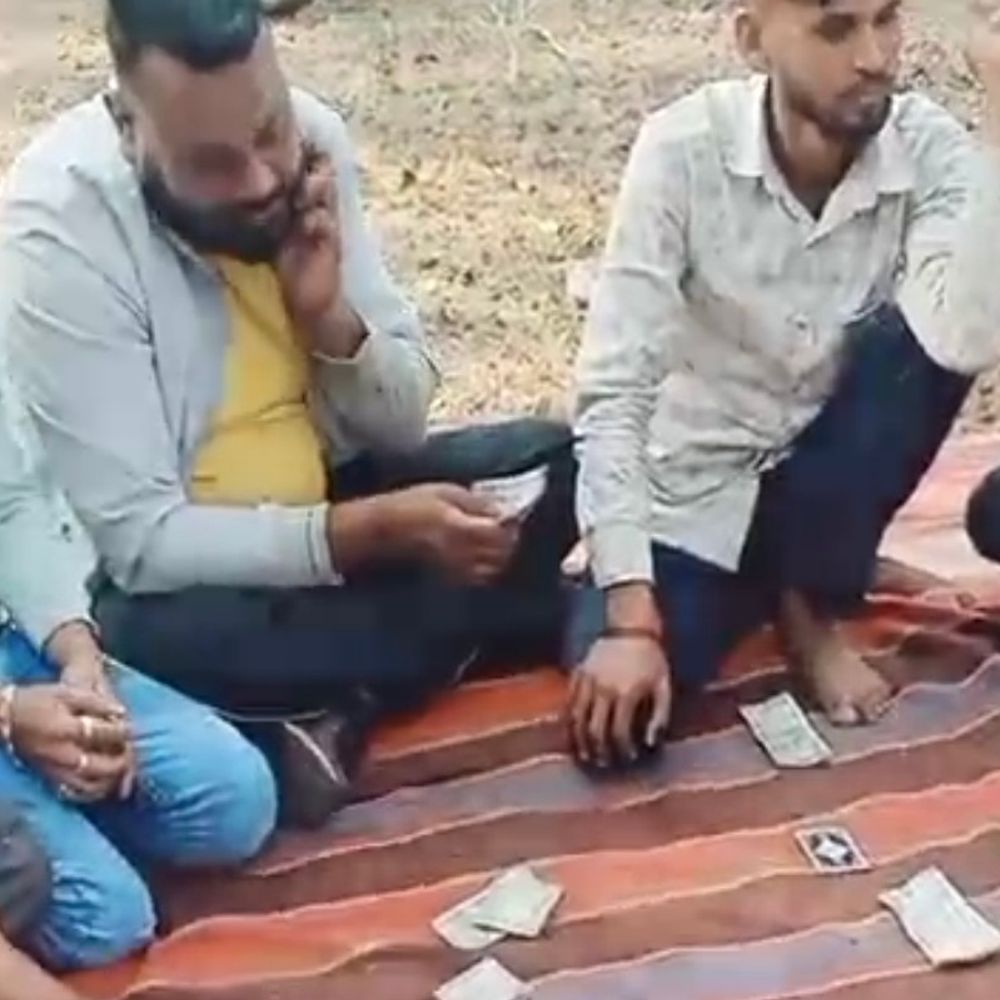 ढाबे के पीछे जुआ फड़ का वीडियो आया सामने:  कटनी में पुलिस की कार्यप्रणाली पर उठे सवाल, पुलिस बोली-पुराना वीडियो है – Katni News