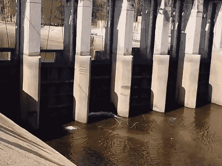 मूंग सिंचाई के लिए तवाडैम से नहर में छोड़ा पानी:771 एमसीएम पानी उपलब्ध, 1 अप्रैल से नर्मदापुरम और 5 अप्रैल से इटारसी उपनहरों में पहुंचेगा