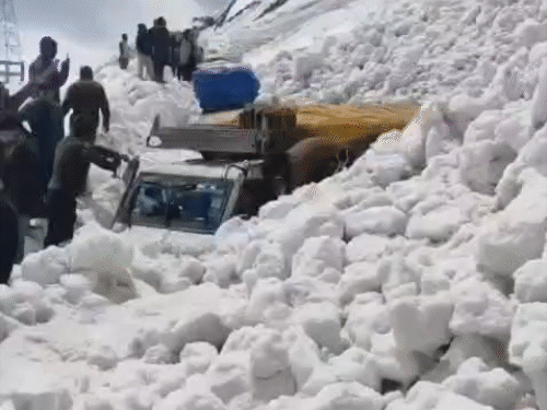 श्रीनगर-लेह हाईवे पर एवलांच, 6 की मौत:12 से ज्यादा वाहन 6 फीट बर्फ में दबे, जोजिला दर्रे के पास हादसा; 5 घायल