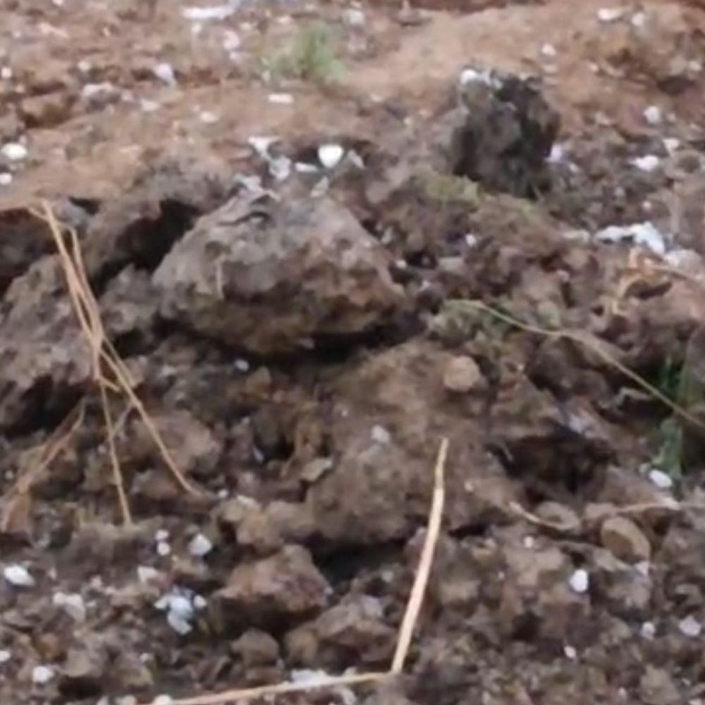 चित्रकूट में तेज हवा, बारिश से फसलें प्रभावित:ओलावृष्टि से गेहूं, चना और अरहर को भारी नुकसान, किसानों की चिंता बढ़ी