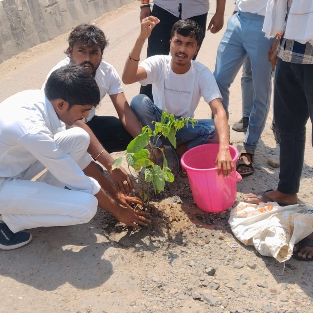 गड्ढों से परेशान लोगों ने सड़क पर लगाए पौधे:बदहाल सड़कों के खिलाफ किया अनोखा प्रदर्शन, प्रशासन पर लापरवाही का आरोप