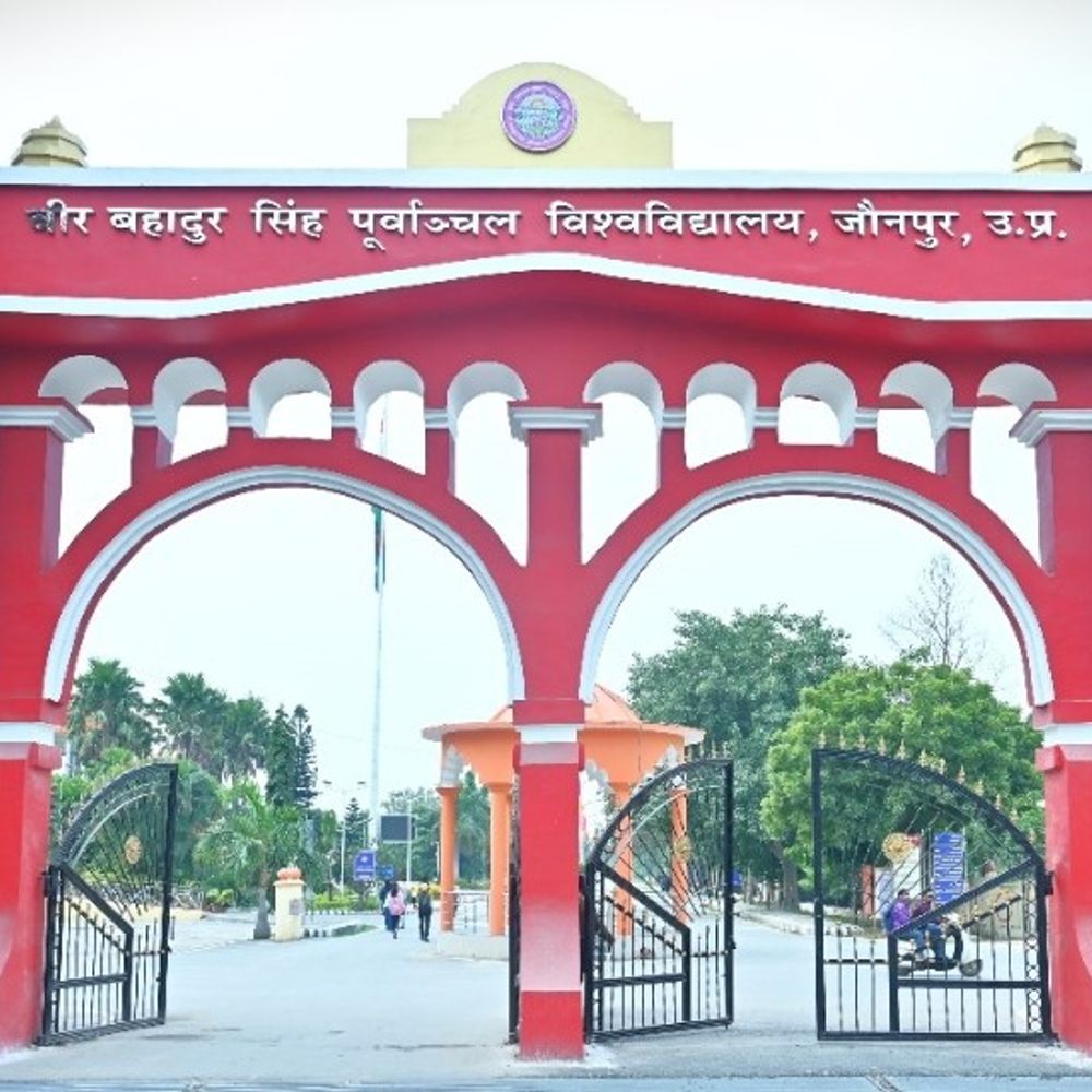 पूर्वांचल विश्वविद्यालय में खेल स्नातक पाठ्यक्रम की तैयारी:इसी सत्र से शुरू हो सकता है, छात्रों को मिलेगा अवसर