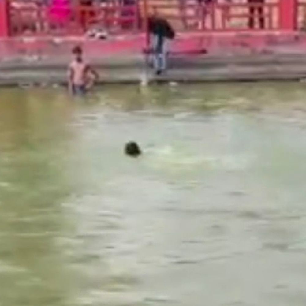 हरदोई में युवक ने डूबती युवती को बचाया:रस्सी के सहारे दोनों को बाहर निकाला गया, पुलिस ने कहा पुराना है