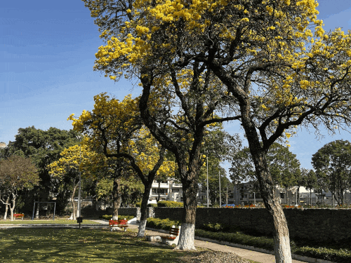 पंजाब-चंडीगढ़ में तीन दिन बारिश और आंधी का अलर्ट:  तापमान गिरेगा, आज 10 जिलों में चलेगी आंधी; आनंदपुर साहिब में 31.1°C तापमान दर्ज – Punjab News