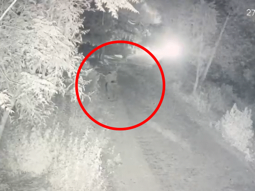 गुरुग्राम में तेज रफ्तार थार ने नाना-2 नाती को उड़ाया,VIDEO:  20 फुट दूर जाकर गिरे, तीनों की मौत; मासूमों की उम्र 8 से 10 साल के बीच – Farrukh Nagar News