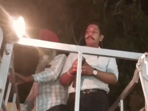 अमृतसर में फायर ब्रिगेड का सराहनीय काम:  ऊंचे पेड़ पर चाइनीज डोर में फंसे कौए को सुरक्षित बचाया; इंसानियत की मिसाल बनी घटना – Amritsar News