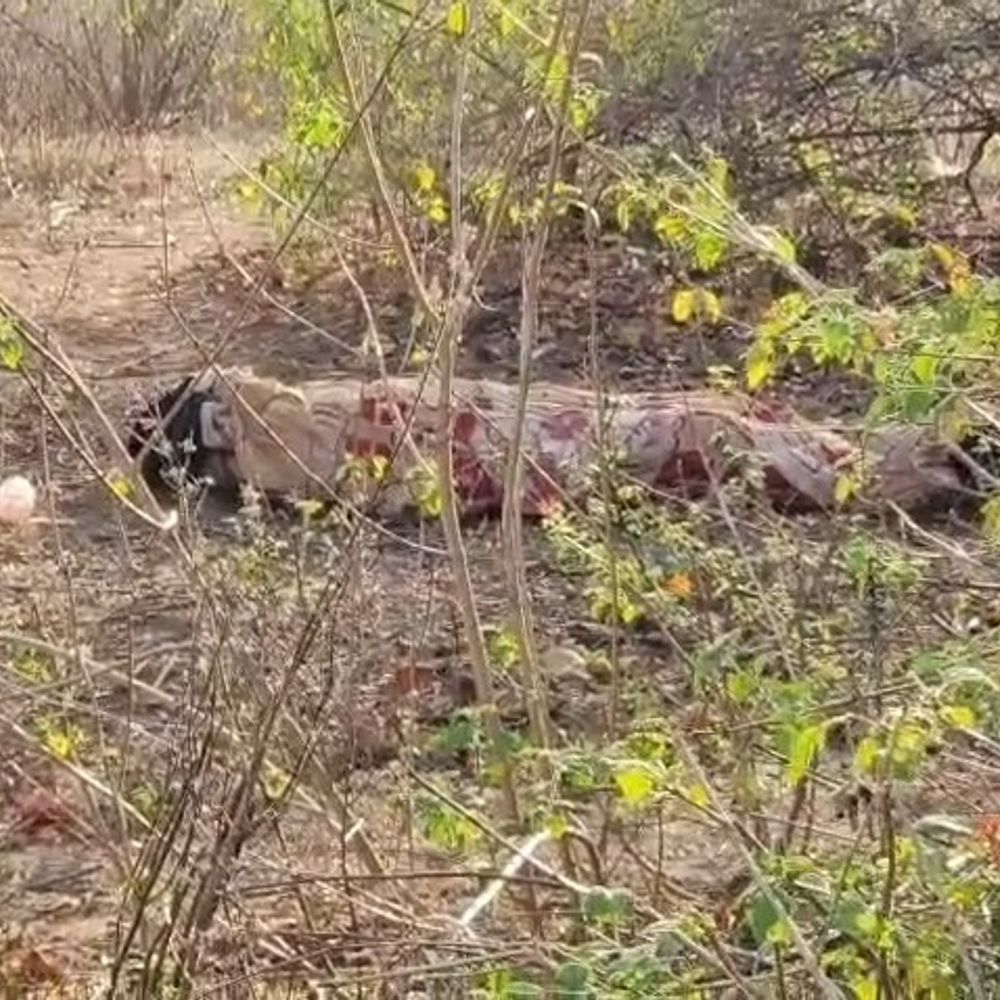 मंडला में युवक-युवती के शव मिले:  लाशें 5-6 दिन पुरानी; युवती के अपहरण और युवक की गुमशुदगी दर्ज थी – Mandla News