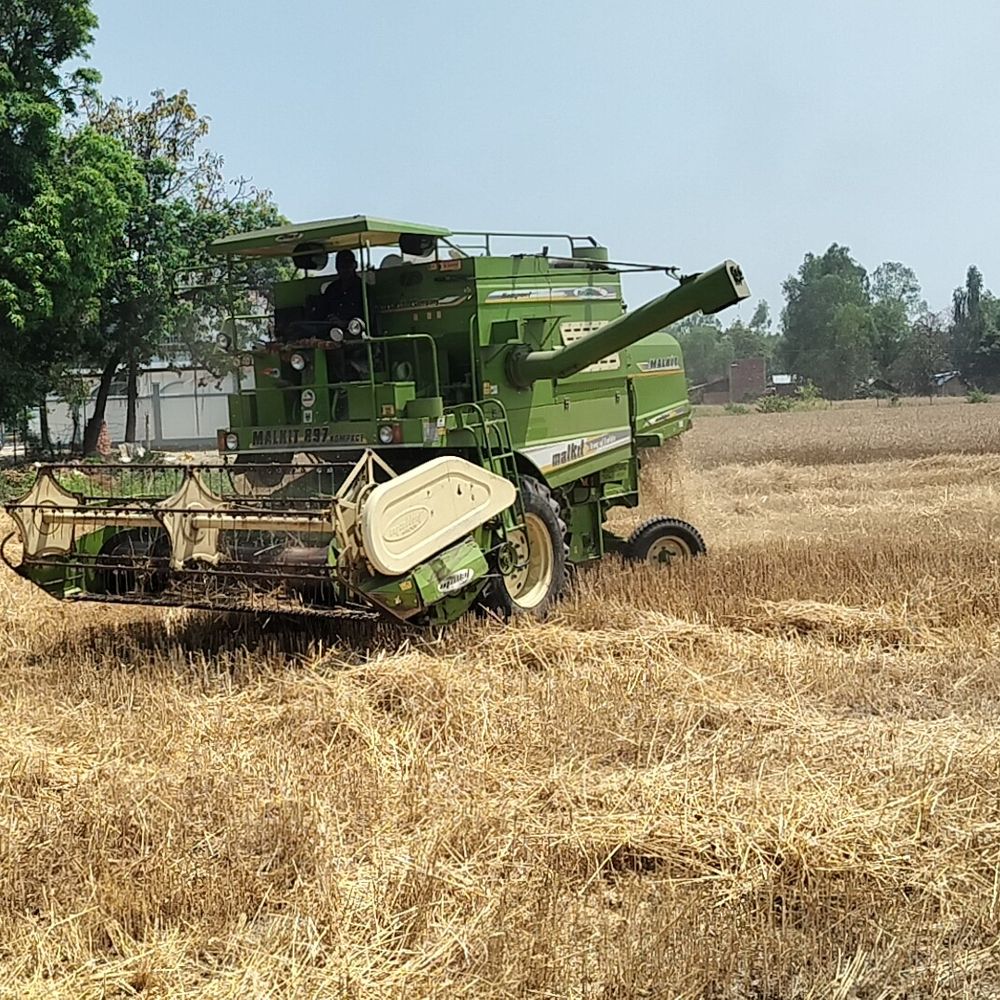 अयोध्या में तेज हुई गेहूं की कटाई-मड़ाई:30 मार्च से शुरू होगी सरकारी खरीद, जिले में 1 लाख 2000 हेक्टेयर क्षेत्रफल में हुई है गेहूं की खेती