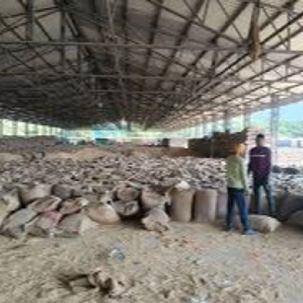 सागर में 176 केंद्रों पर 77337 किसान बेचेंगे गेहूं:7 अप्रैल से समर्थन मूल्य पर खरीदी, 77 हजार 337 किसानों ने पंजीयन कराया