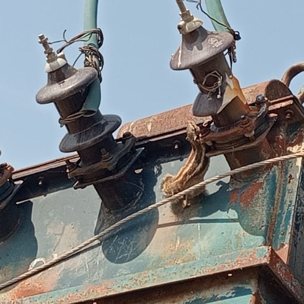 गिलहरी के कारण खेत में लगी आग:फिरोजाबाद में तीन बीघा गेहूं की फसल जलकर राख, ट्रांसफार्मर में हुआ था फाल्ट