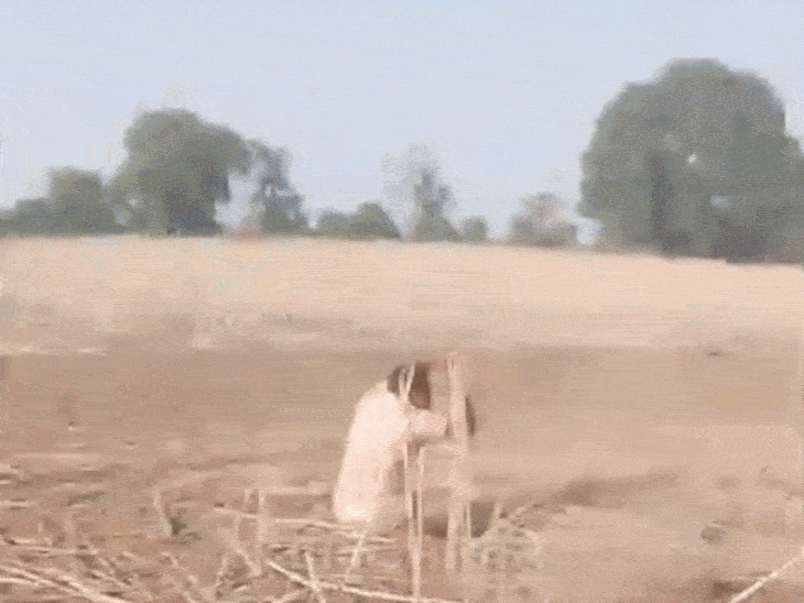 चचेरे भाइयों ने एक-दूसरे को लाठी-कुल्हाड़ी और पत्थर मारे, VIDEO:छतरपुर में खेत पर विवाद में 6 घायल, 12 लोगों पर मामला