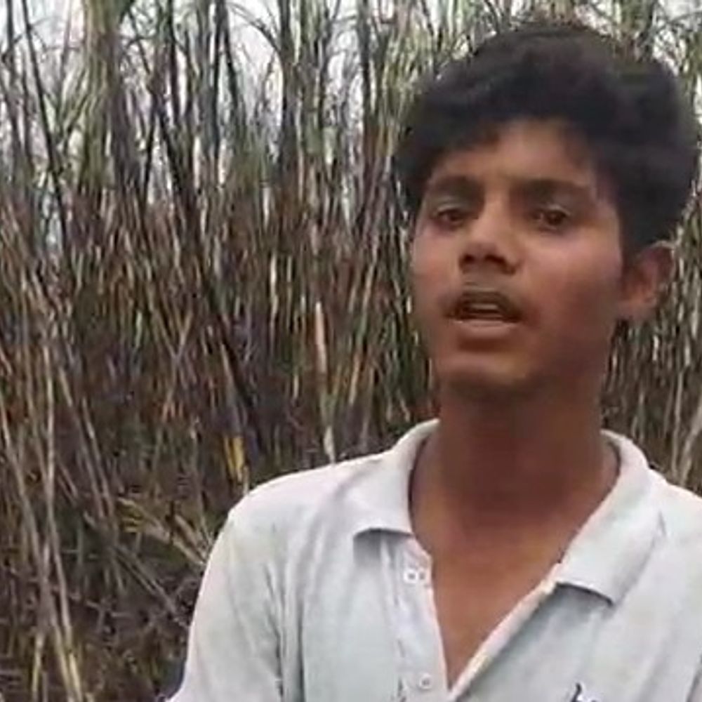 बिजली के तारों से लगी आग, 5 बीघा गन्ना जला:सीतापुर में किसान ने बिजली विभाग पर लगाए आरोप, ग्रामीणों ने पाया काबू