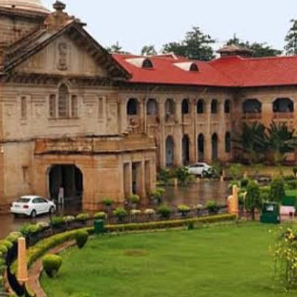 पसंद से शादी, किसी अन्य के सम्मान का मुद्दा नहीं:हाईकोर्ट ने कहा- दंपति के जीवन, स्वतंत्रता और संपत्ति की रक्षा राज्य करे