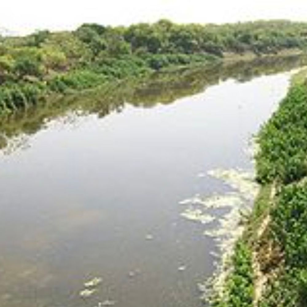 सई नदी बाढ़ क्षेत्र सर्वे के लिए दो करोड़ जारी:IIT रुड़की और सर्वे ऑफ इंडिया को मिली जिम्मेदारी