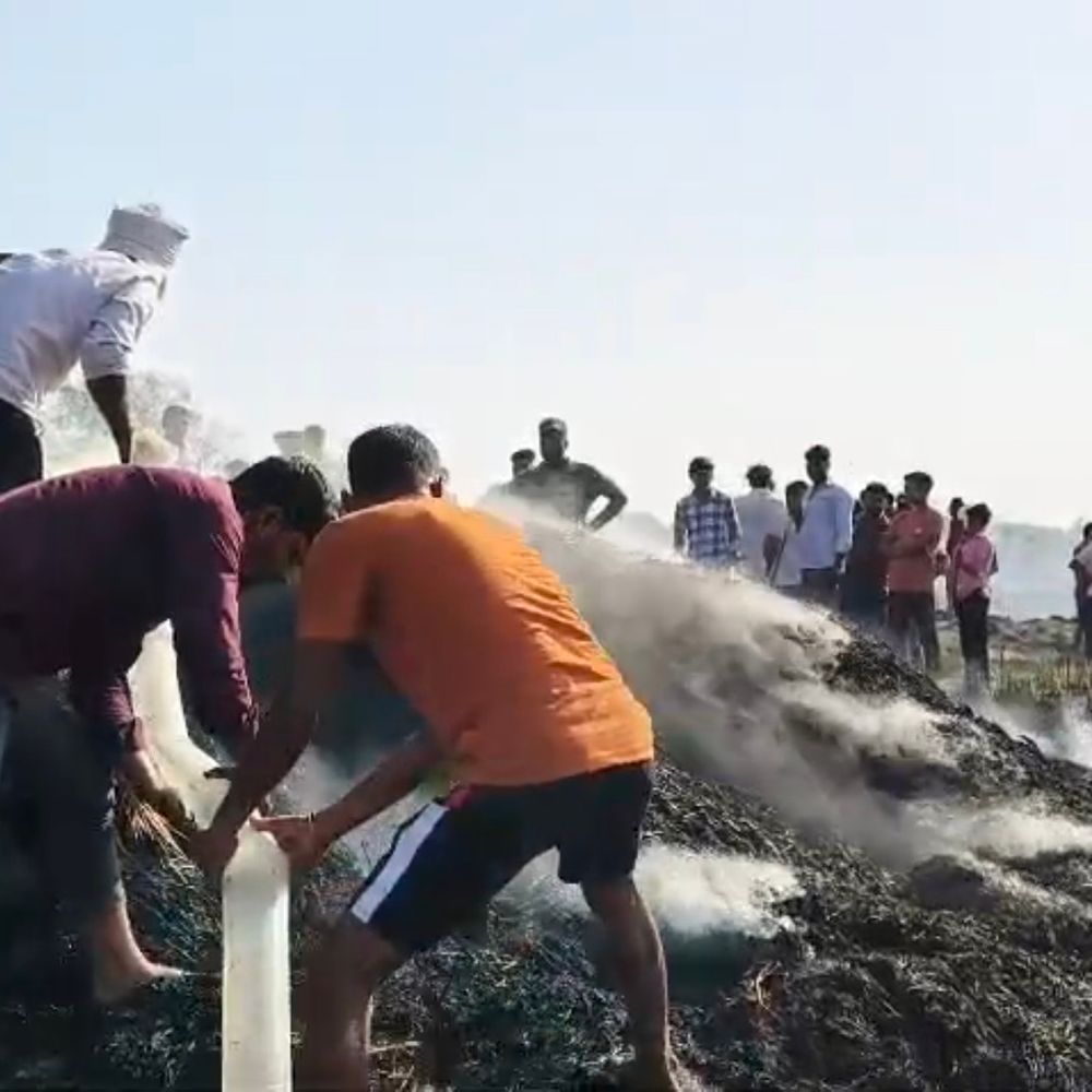 10 बीघा गेहूं की फसल जलकर राख:प्रतापगढ़ में शॉर्ट-सर्किट से लगी आग, तीन किसानों को भारी नुकसान