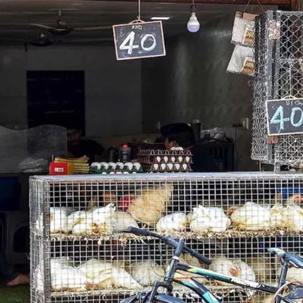 वाराणसी में आज बंद रहेगी मीट-मछली और मांस की दुकानें:महावीर जयंती पर नगर निगम ने लिया फैसला, खुली मिलने पर होगी कड़ी कार्रवाई