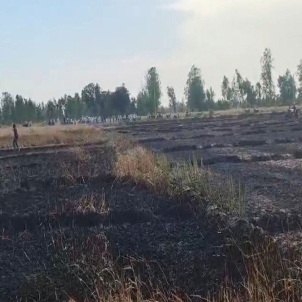 शाहजहांपुर में 12 एकड़ गेहूं की फसल जली:फायर ब्रिगेड एक घंटे लेट पहुंची, किसान बोले- कर्ज और पत्नी का जेवर गिरवी रखा था