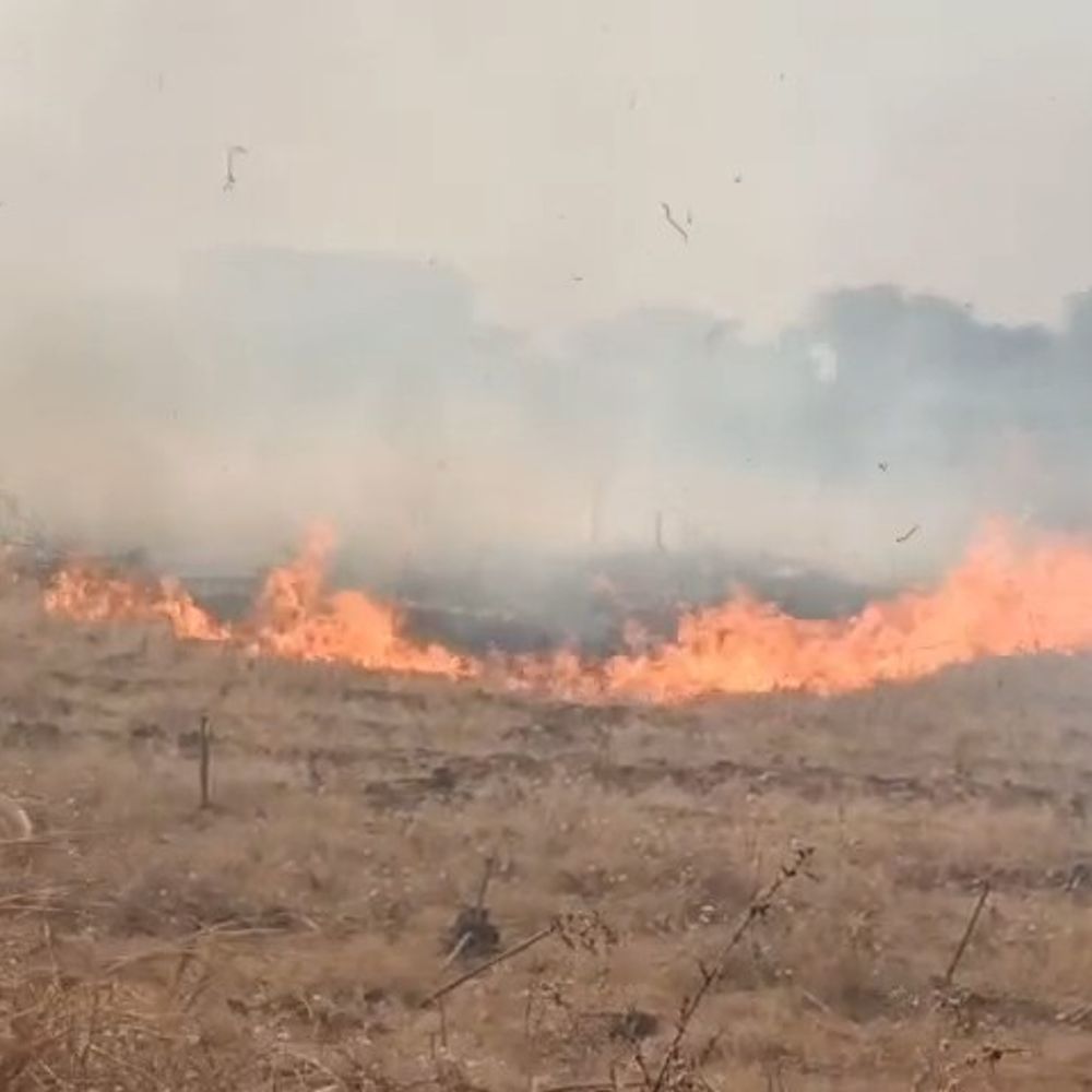 खरगोन में पराली जलाने पर 6 किसानों पर जुर्माना:बोरुठ के खेतों में मिले अवशेष, कलेक्टर ने दी प्रतिबंधात्मक कार्रवाई की चेतावनी