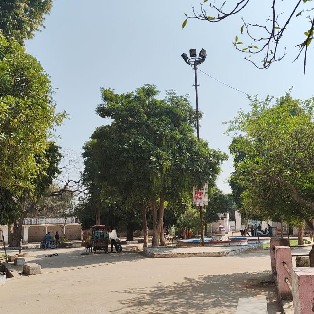 रात में मौसम ने ली करवट, सर्द हवाएं बही:बूंदाबांदी के बाद बादल थमे, सुबह से निकली हल्की धूप