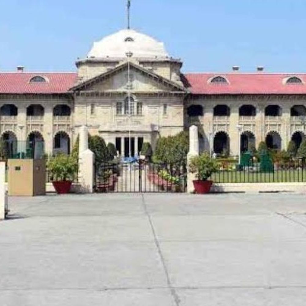 दो भैंसों का 50 हजार का लोन 3.71 लाख हुआ:हाईकोर्ट ने किसान की जमीन निलामी पर रोक लगाई, प्रबंध निदेशक तलब