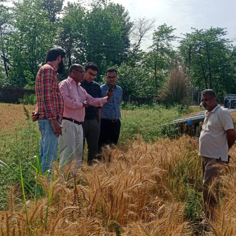 पंचकूला में डिजिटल क्रॉप सर्वे कार्य में तेजी:  फील्ड में जाकर SDM कर रहे निगरानी, DC कर रहे मॉनिटरिंग – Panchkula News